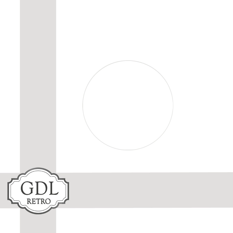 GDL Retro Plak koruma Seti - 45’lik Plak kılıfı - 33’lük Plak Kılıfı - Antistatik Ped