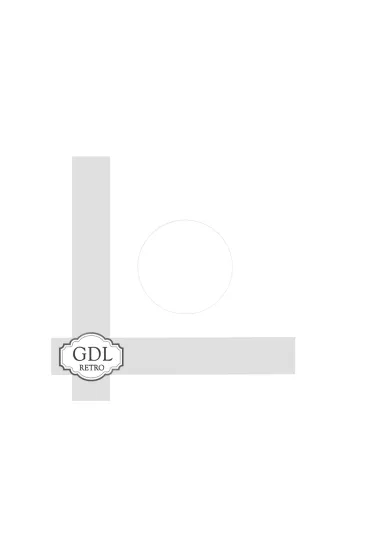 GDL Retro 33 lük Plak Kılıfı - 10 adet (200 gr kağıt) 